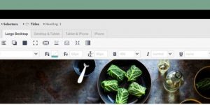 Microthemer Lite