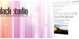 Black Studio TinyMCE Widget