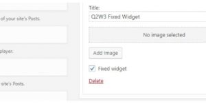 Q2W3 Fixed Widget